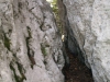 p9231446