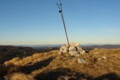 Bitoraj-Viševica