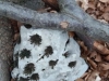 20190310_110223