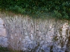 DSCI0056.JPG