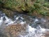 1_Image00001