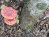 1_Image00003
