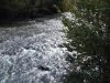 1_Image00013