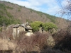 DSC09452_resize