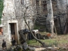 DSC09464_resize