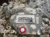 image00008