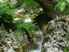 dsc03772_resize