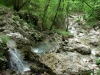 dsc03786_resize