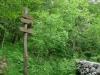 dsc03809_resize