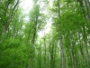 dsc03814_resize