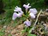 dsc03818_resize