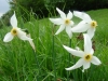 dsc03827_resize