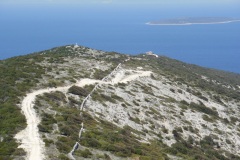 Osorčica 2011