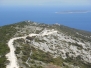 Osorčica 2011