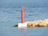 DSCN2081