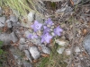 DSCN0429