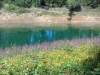 IMG-46bea3ae86cd46ba2f901258a0db7e31-V