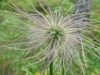 dsc04211_resize