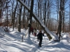 DSC00028_resize
