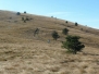 Račja vas-Gomila -Trstenik-Žbevnica