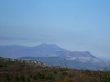 DSCI0365