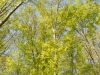 DSCN0037