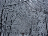 DSC09345_resize