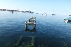 Svjetski dan pješačenja