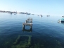 Svjetski dan pješačenja