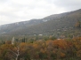 Vela Draga
