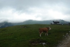 Veliki vrh - Košuta