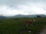 Veliki vrh - Košuta