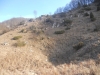 DSCN9289