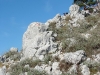 dsc01114_resize