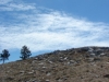 dsc03691_resize