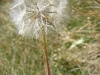 dsc00266_resize